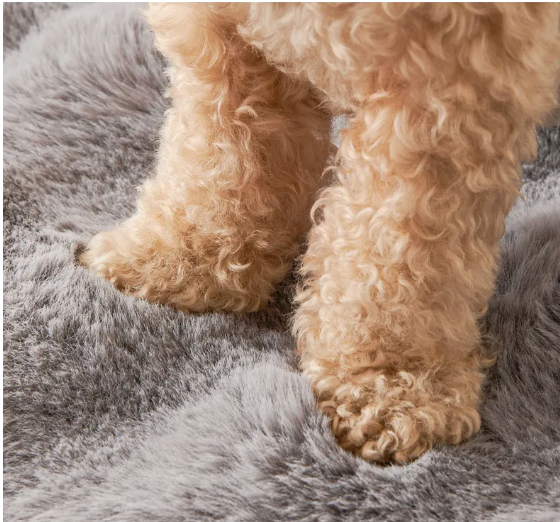Thick Winter Haven for Your Furry Friend