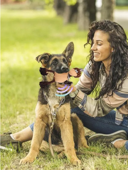 Gentle on Teeth, Tough on Aggressive Chewers