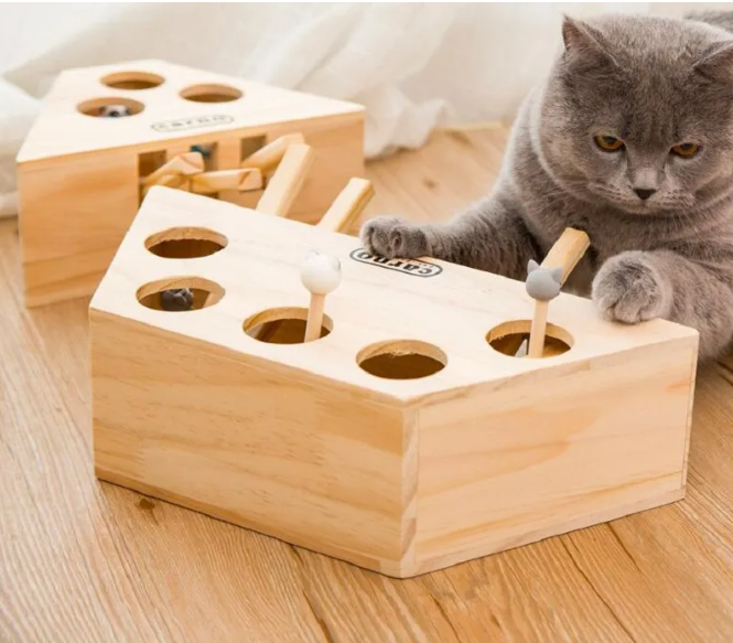 Interactive Wooden Toys for Kittens, Cats & Hamster