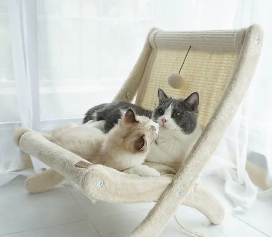 Your Cat’s Cozy Sunbathing Paradise