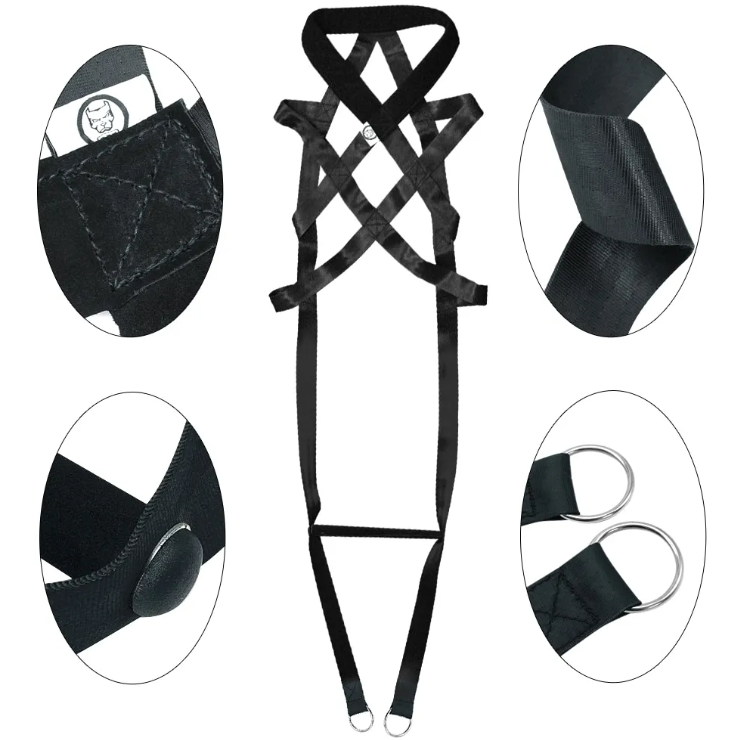 Fun Dog Training Gear: Leashes & Comfortable Chest Straps