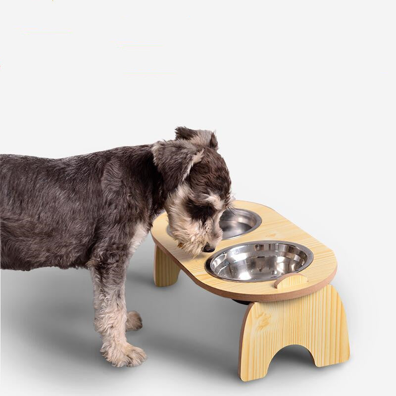 Comfy Tilted Double Bowl Pet Feeder
