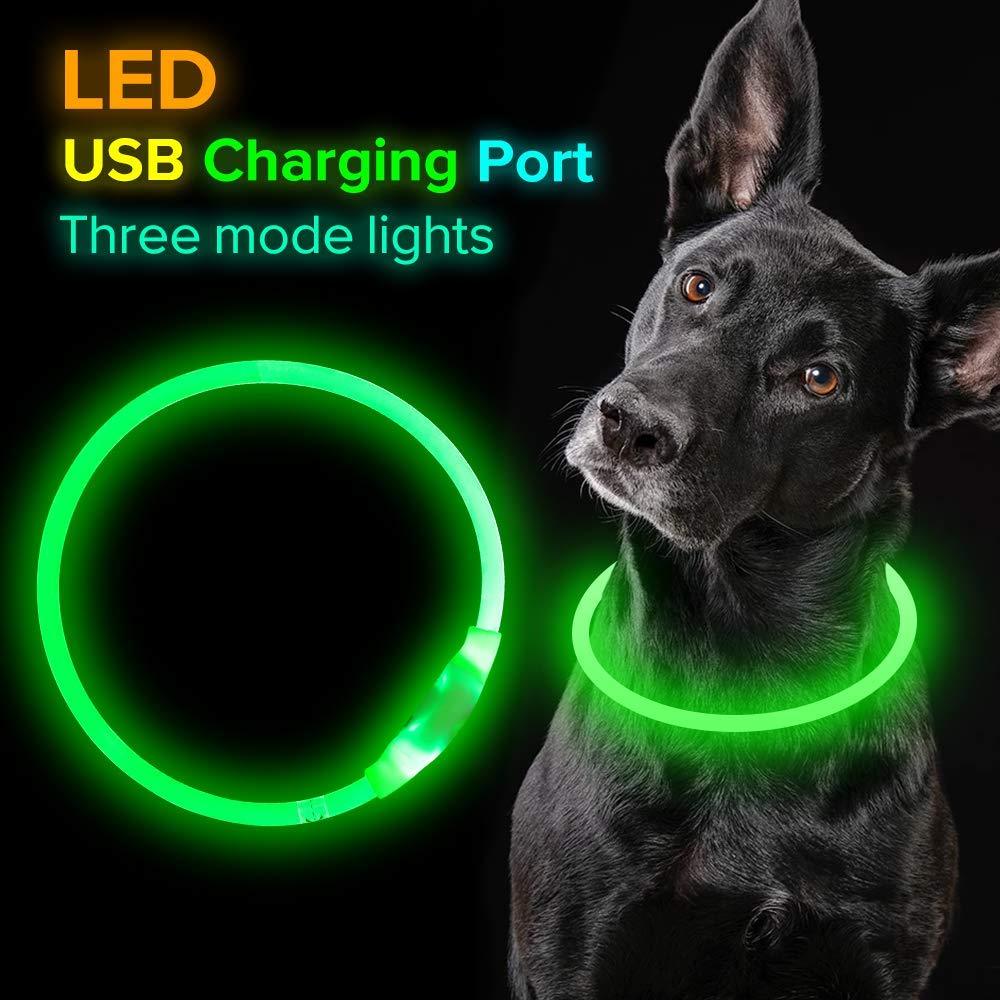 Neon Collar Delight for Energetic Pals