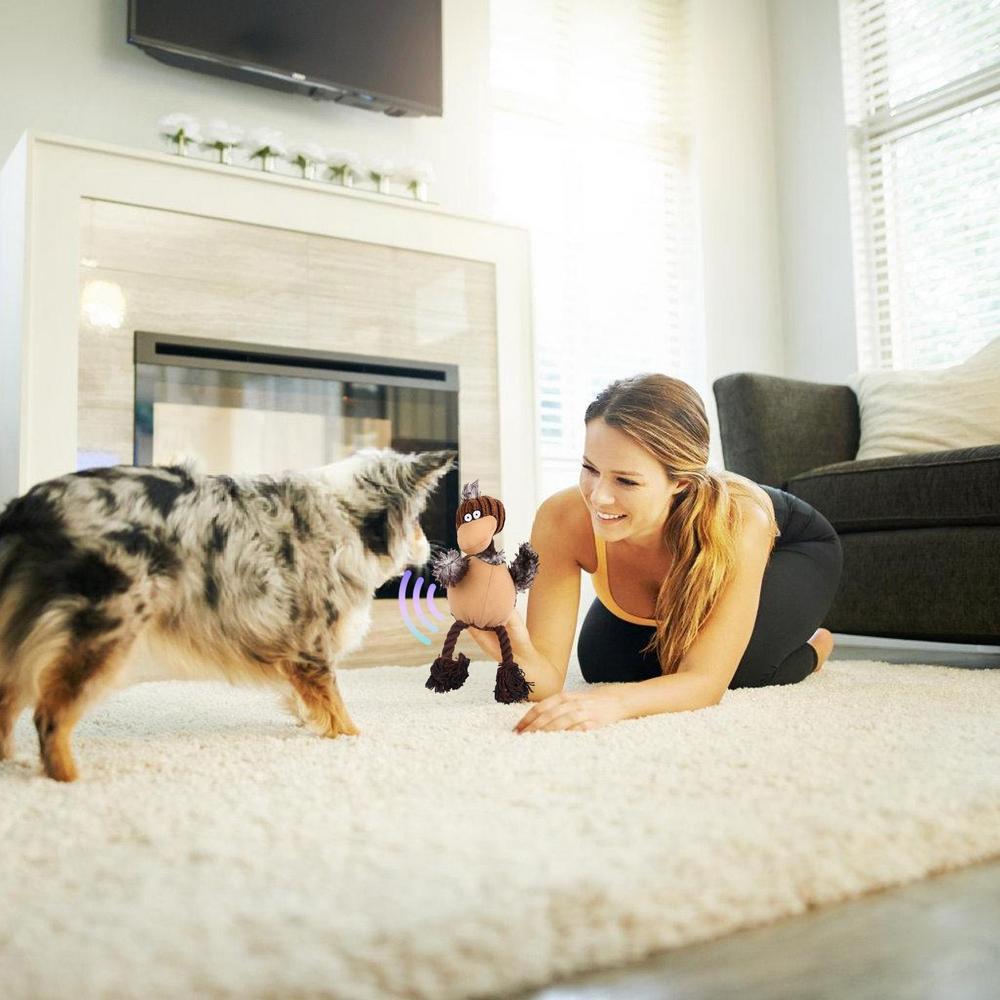 Gentle on Teeth, Tough on Aggressive Chewers