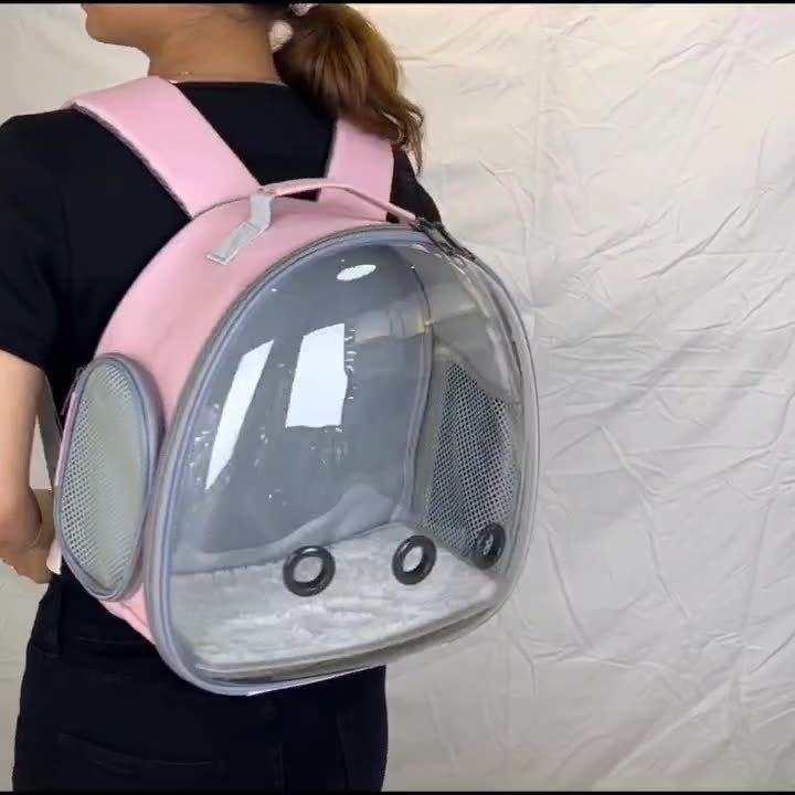 Pet Explorer Backpack: Transparent for Small Buddies!