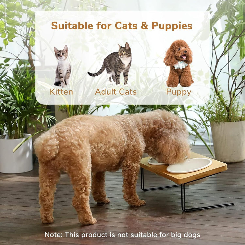 Stylish Pet Bowl with Stand