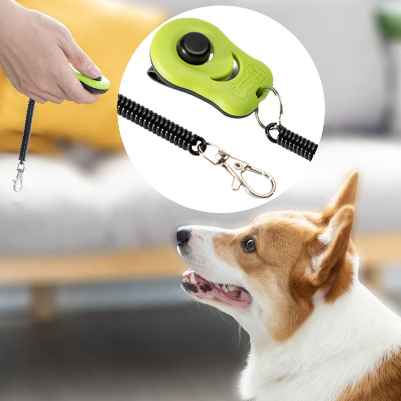 Training Clicker Fun for Playful Canine Pals!