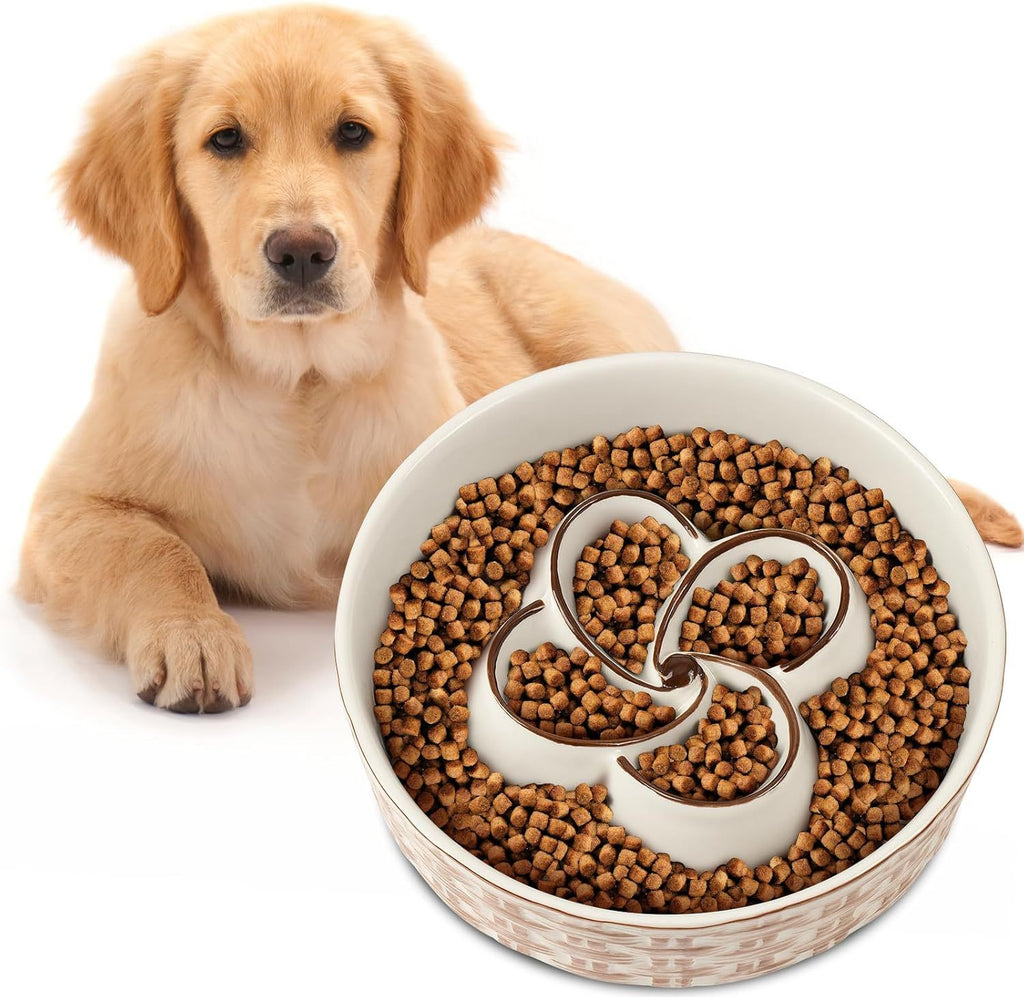 Gentle Slow Bowl for Healthy Pup Dinners