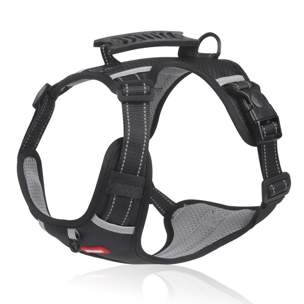 Durable No-Pull Harness for Outdoor Adventures