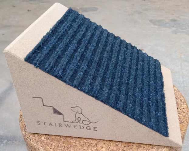 Pet Stairs Runway: Safe Play Path