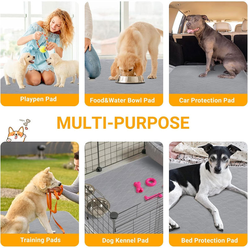 Modern Pee Pads for Clean Homes