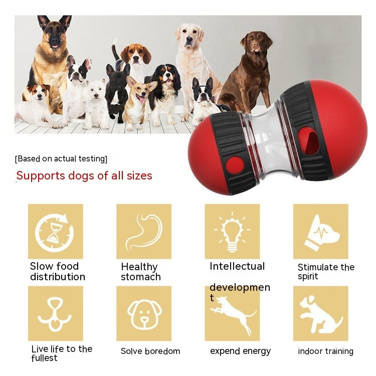 Interactive Dog Toy: Slow Feeding, Brain Boost