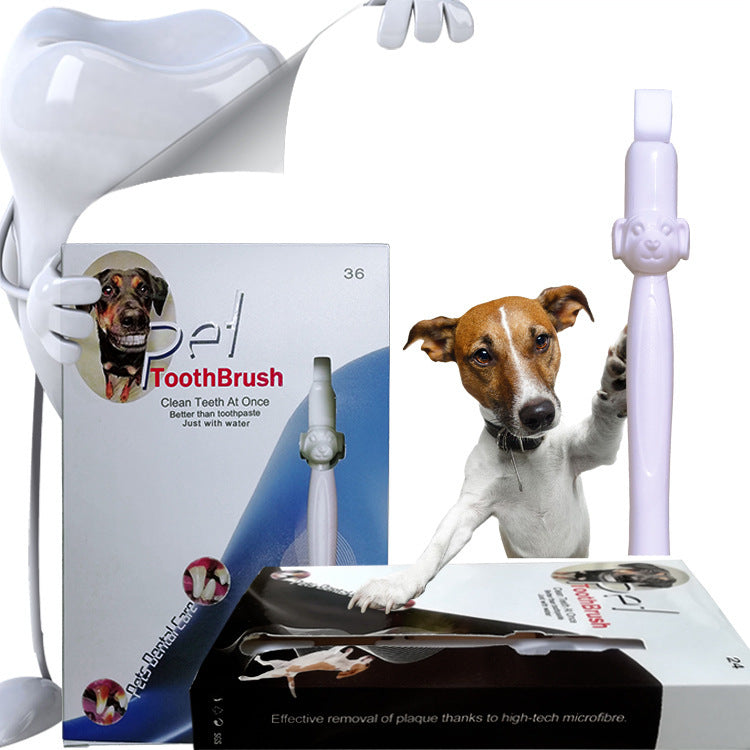 Tooth Clean Fun for Energetic Pet Days