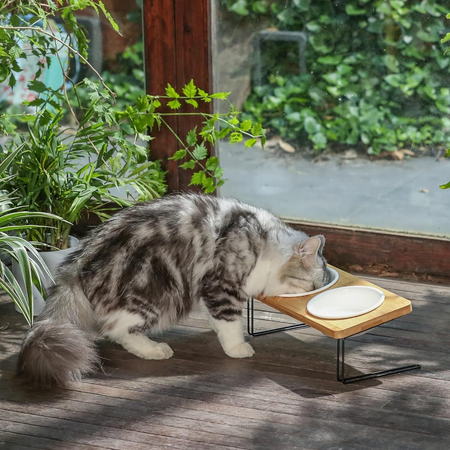 Stylish Pet Bowl with Stand