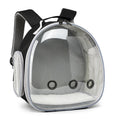 Pet Explorer Backpack: Transparent for Small Buddies!