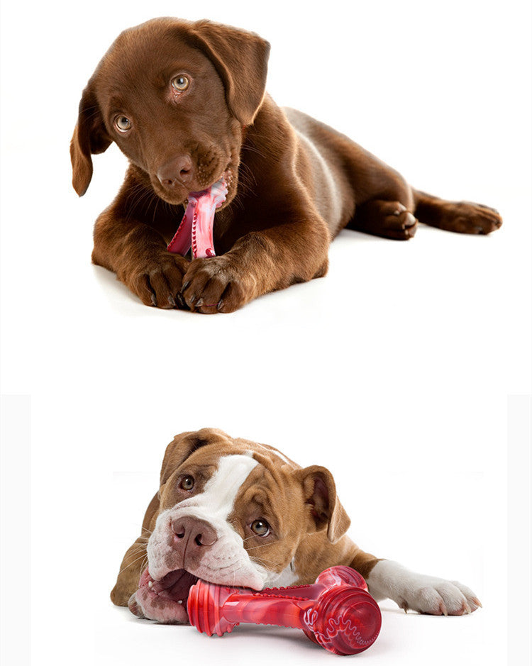 Tough Nylon Toy for Lovable Dogs