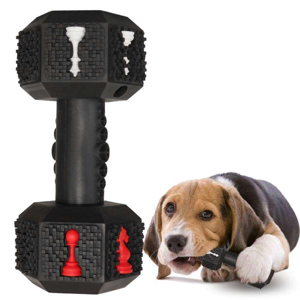 Indestructible Fun for Your Power Chewer Pup