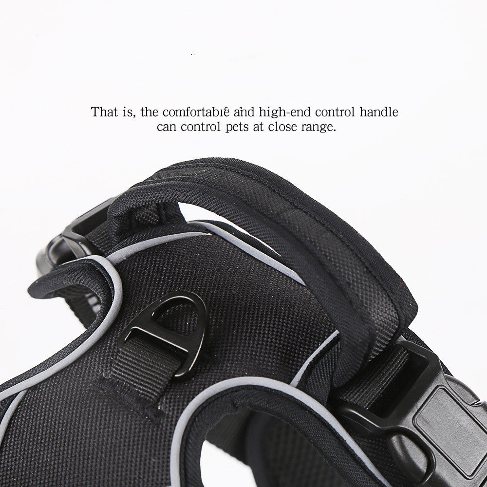 Comfy No-Pull Harness for Happy Walks