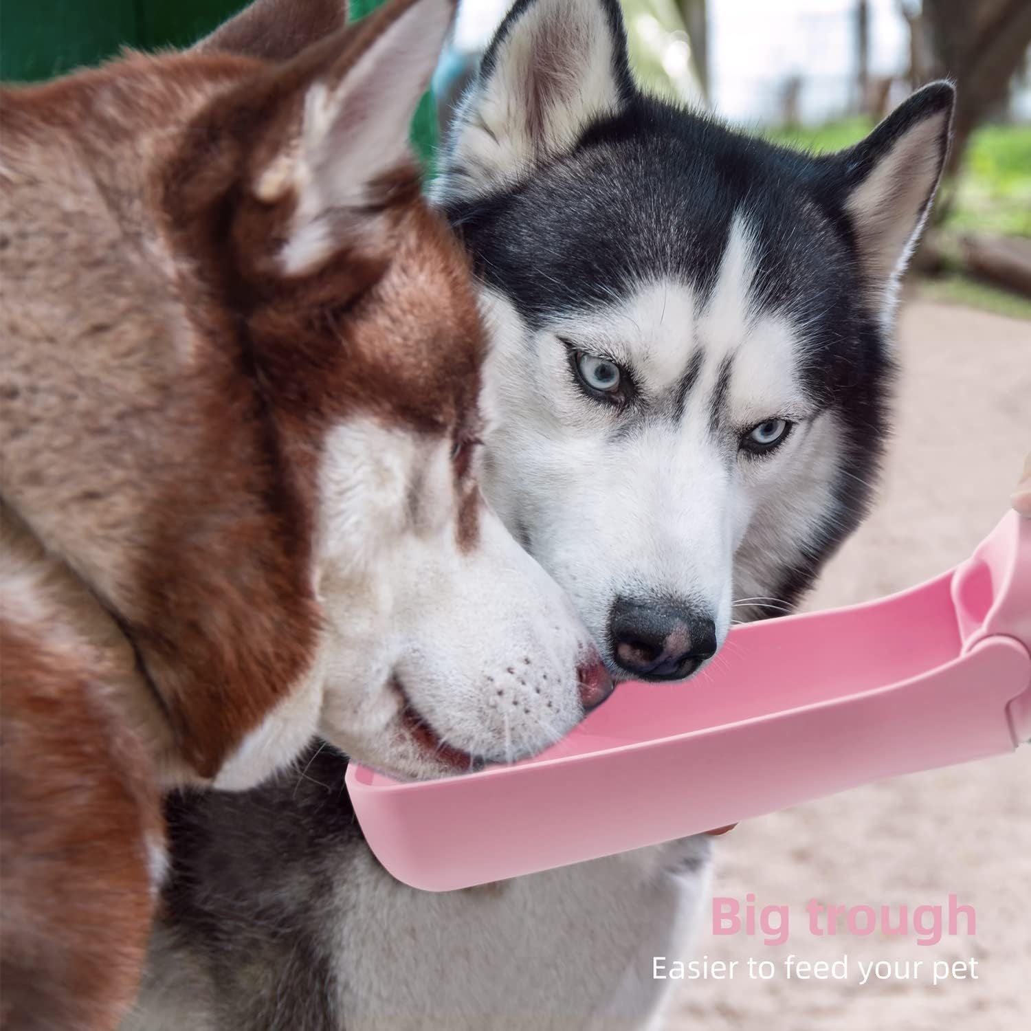 Handy Water Bottle for Happy Dog Walks