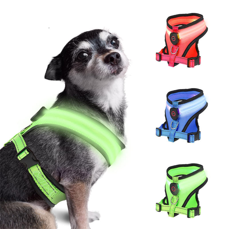 Comfy Rechargeable LED Mesh Harness for Happy Night Adventures