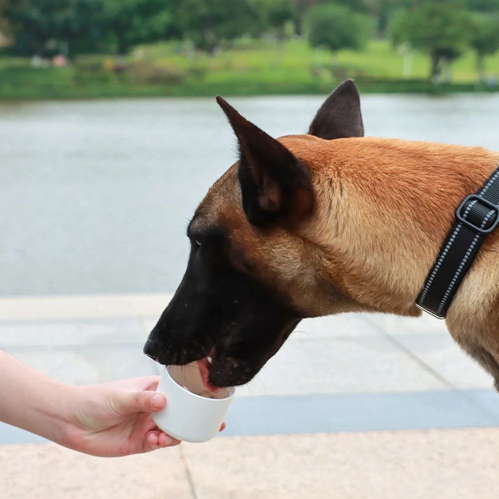 Portable Dog/Pet Water Bottle for Happy Outdoor Adventures