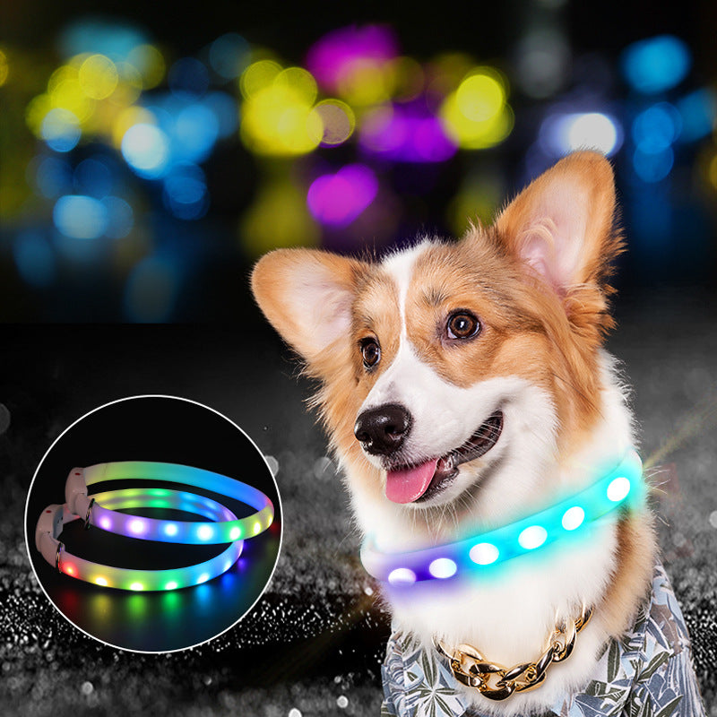Super Bright LED Safety Collar for Happy Night Adventures