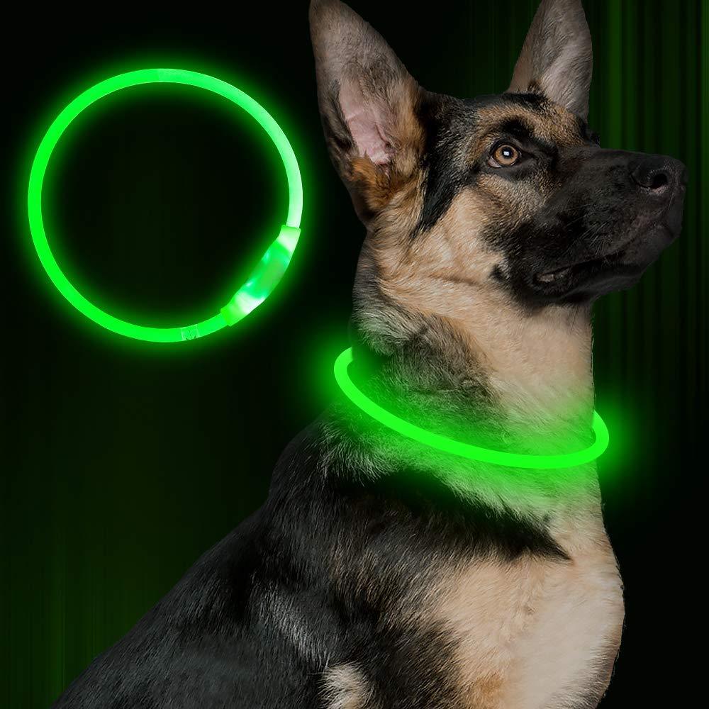 Neon Collar Delight for Energetic Pals