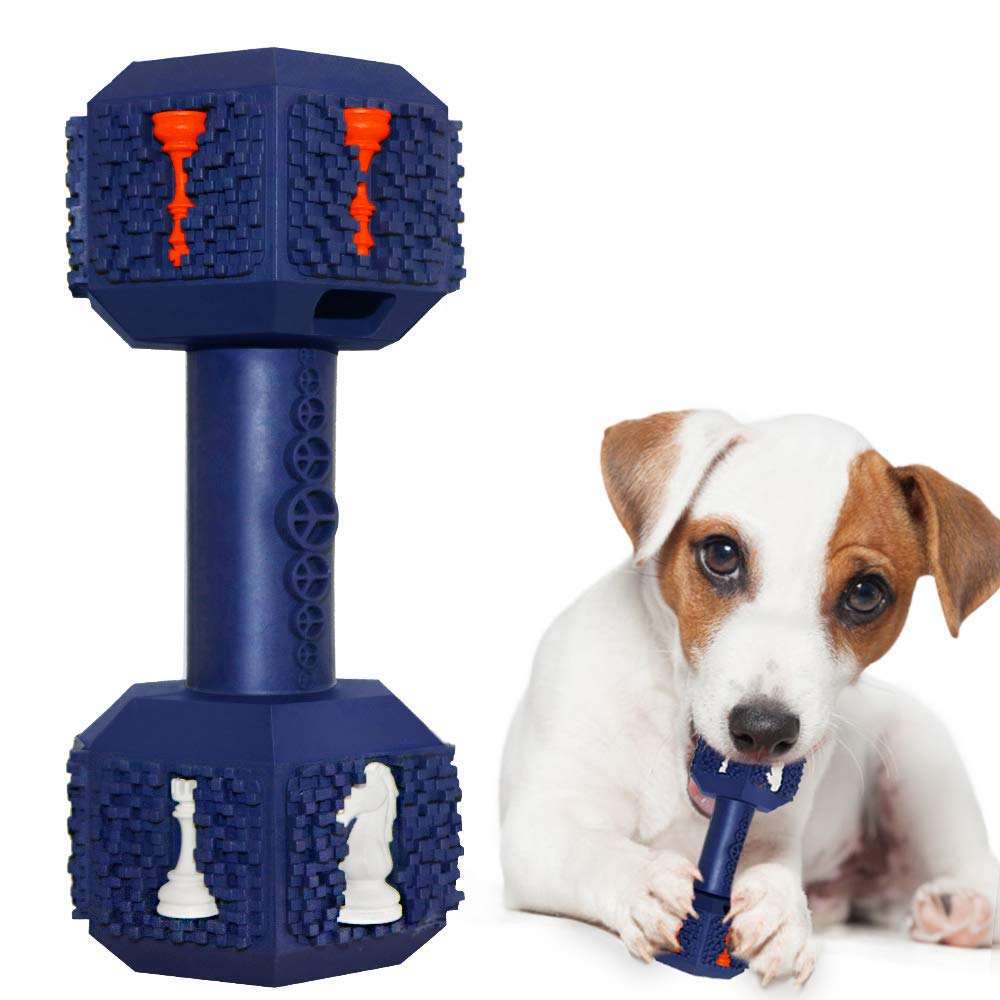Indestructible Fun for Your Power Chewer Pup