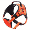 Durable No-Pull Harness for Outdoor Adventures