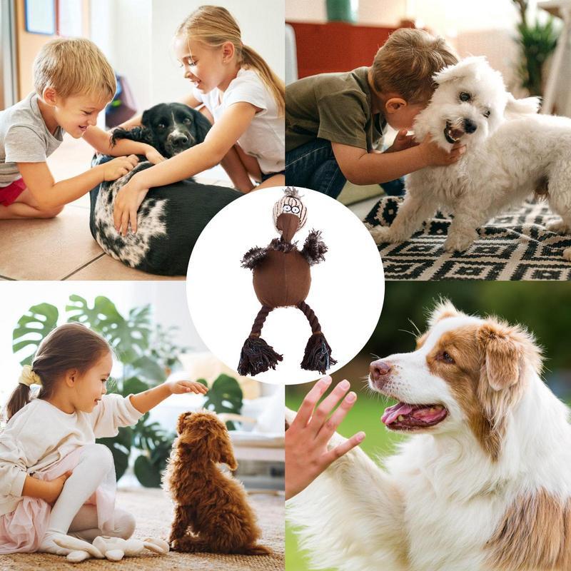 Gentle on Teeth, Tough on Aggressive Chewers