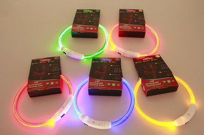 Neon Collar Delight for Energetic Pals
