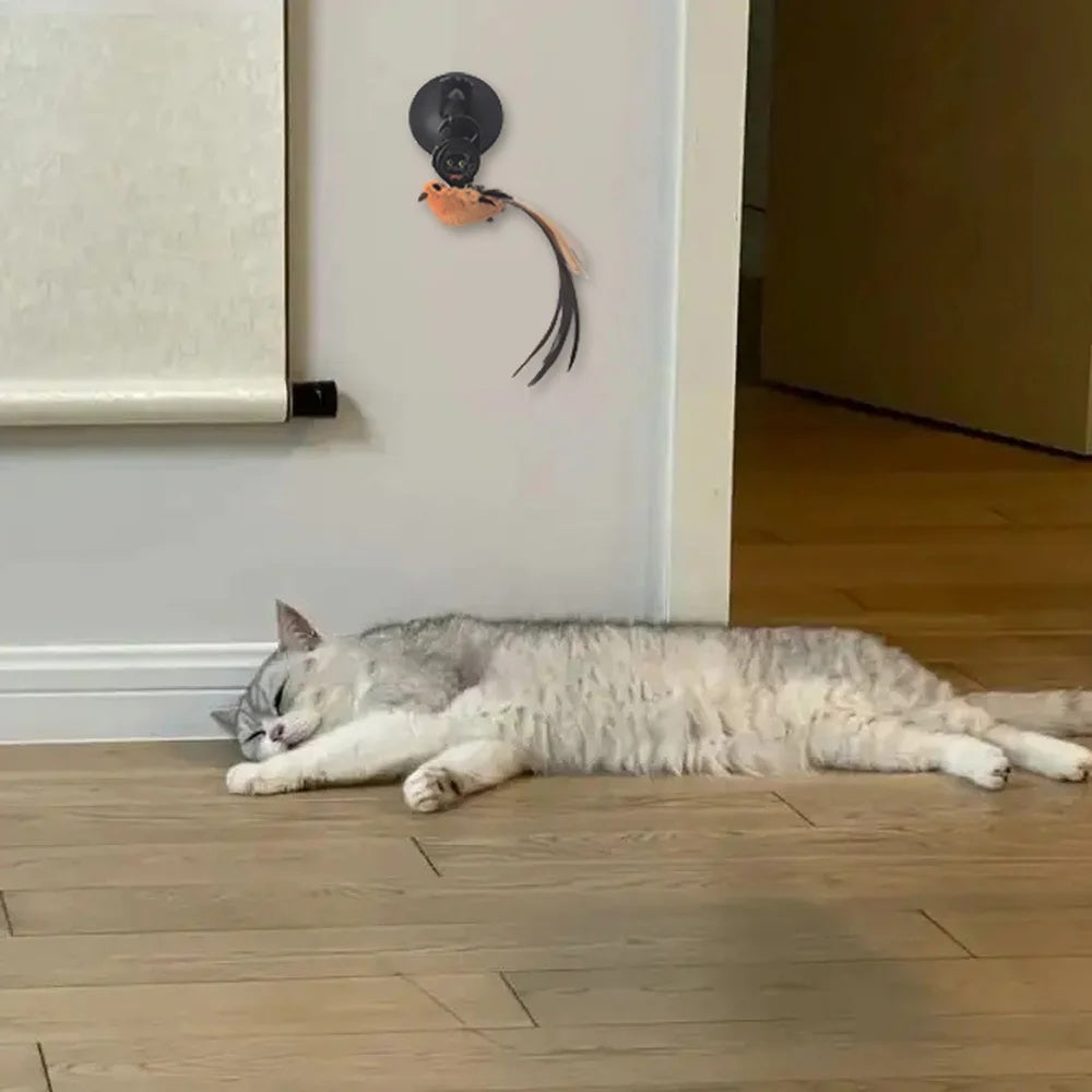 Lift-and-Play Toy for Your Cat Pal