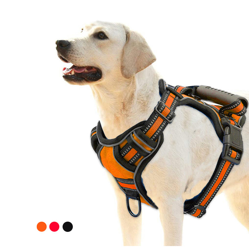 Comfy No-Pull Harness for Happy Walks