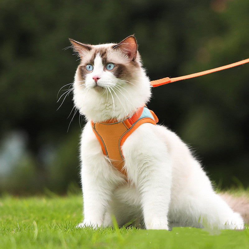 Your Cat's Bestie: Anti-Slip Reflective Leash & Harness Set