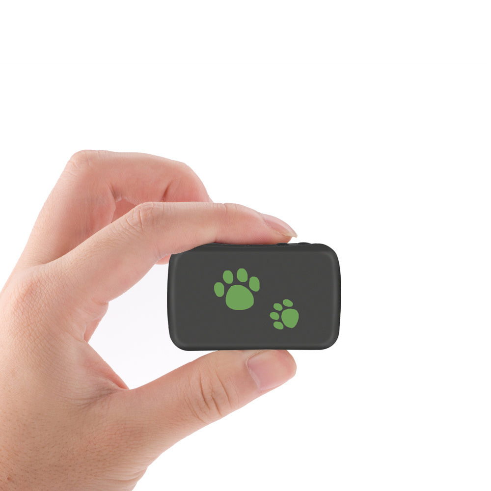 Pet-Safe GPS Tracker: Never Lose Your Buddy!