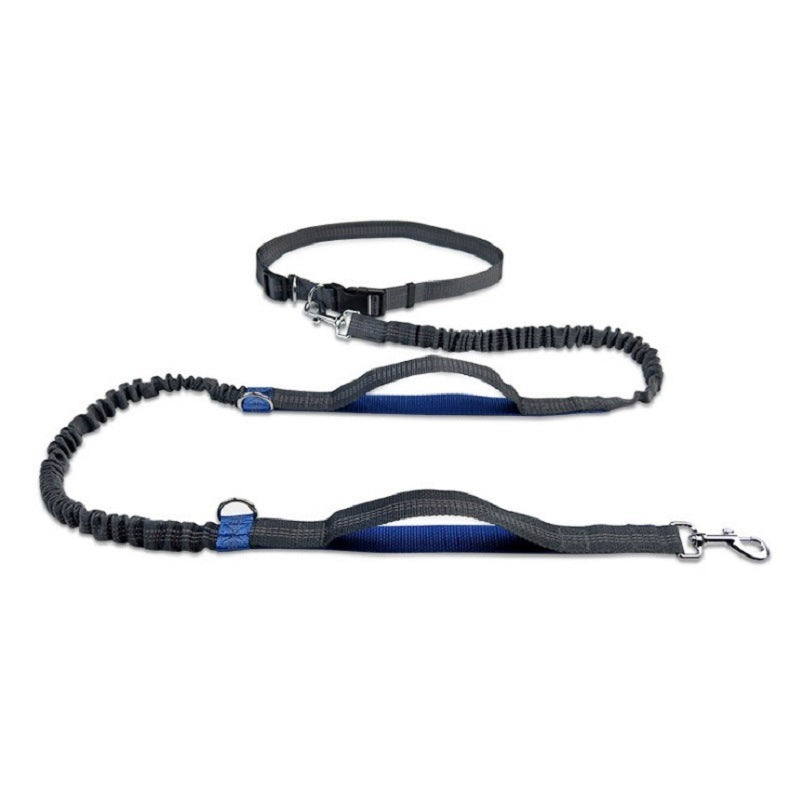 Fun Multifunctional Leash for Happy Pet Adventures