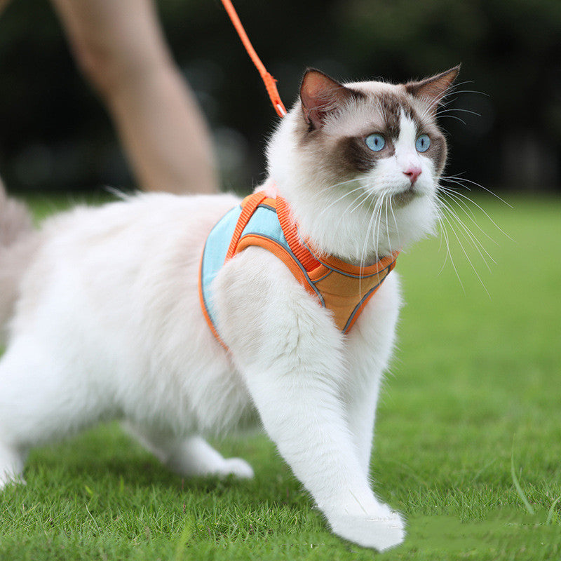 Your Cat's Bestie: Anti-Slip Reflective Leash & Harness Set