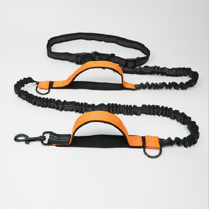 Fun Multifunctional Leash for Happy Pet Adventures