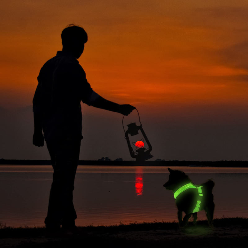 Comfy Rechargeable LED Mesh Harness for Happy Night Adventures