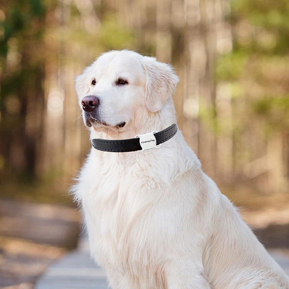 Pet GPS Tracker: Peace of Mind!
