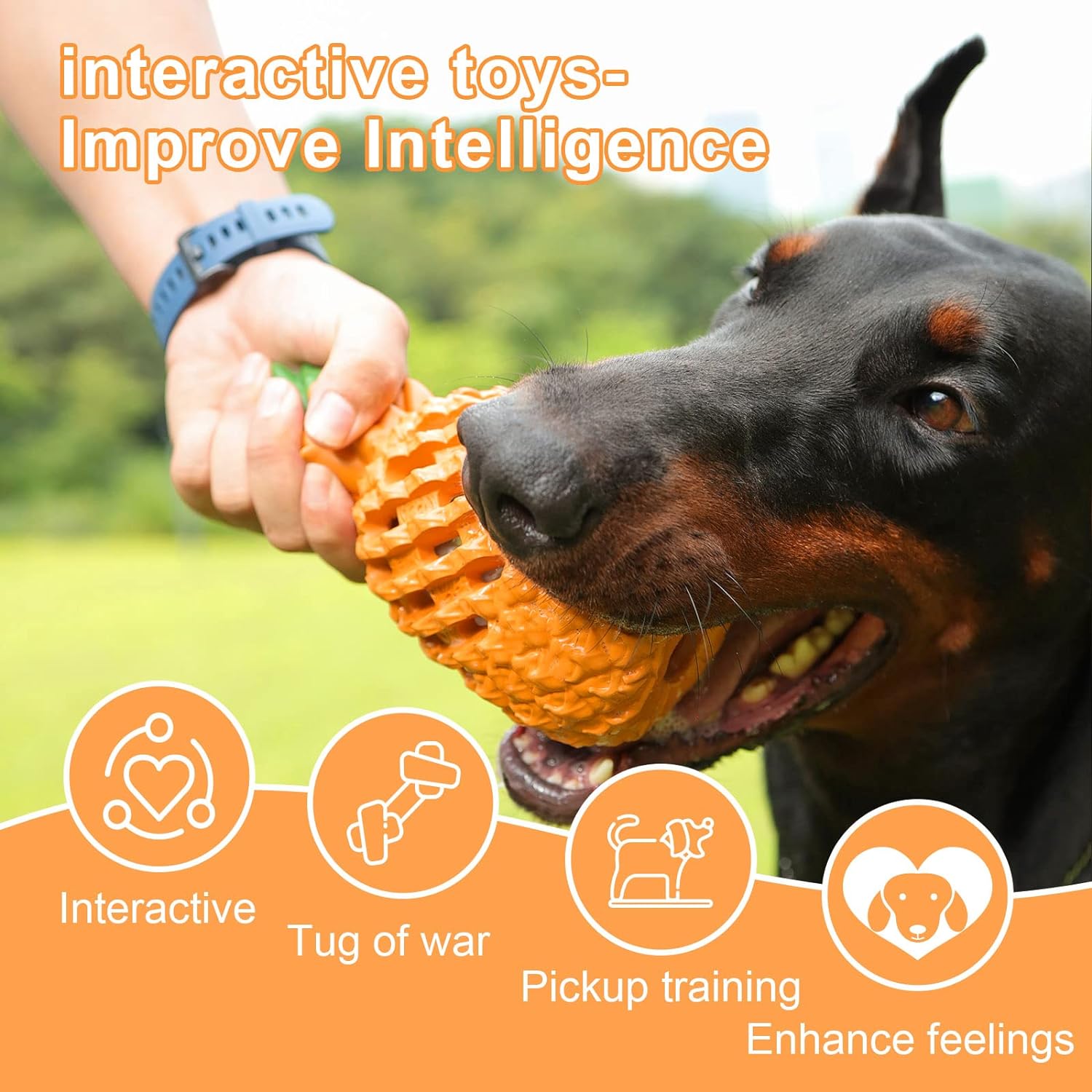 Pineapple Power Chew Toy for Tough Pups