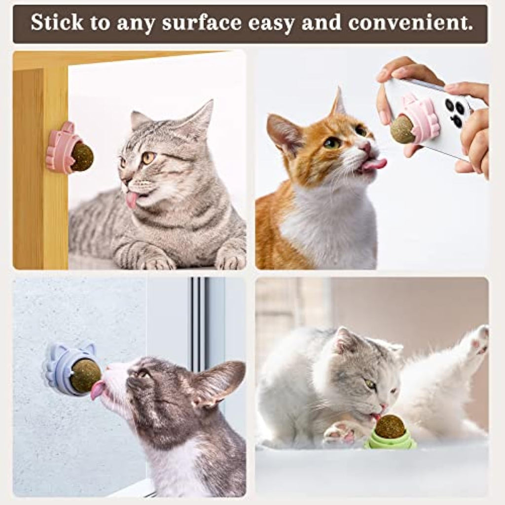 Healthy Stick-On Catnip Toys for Sparkly Smiles