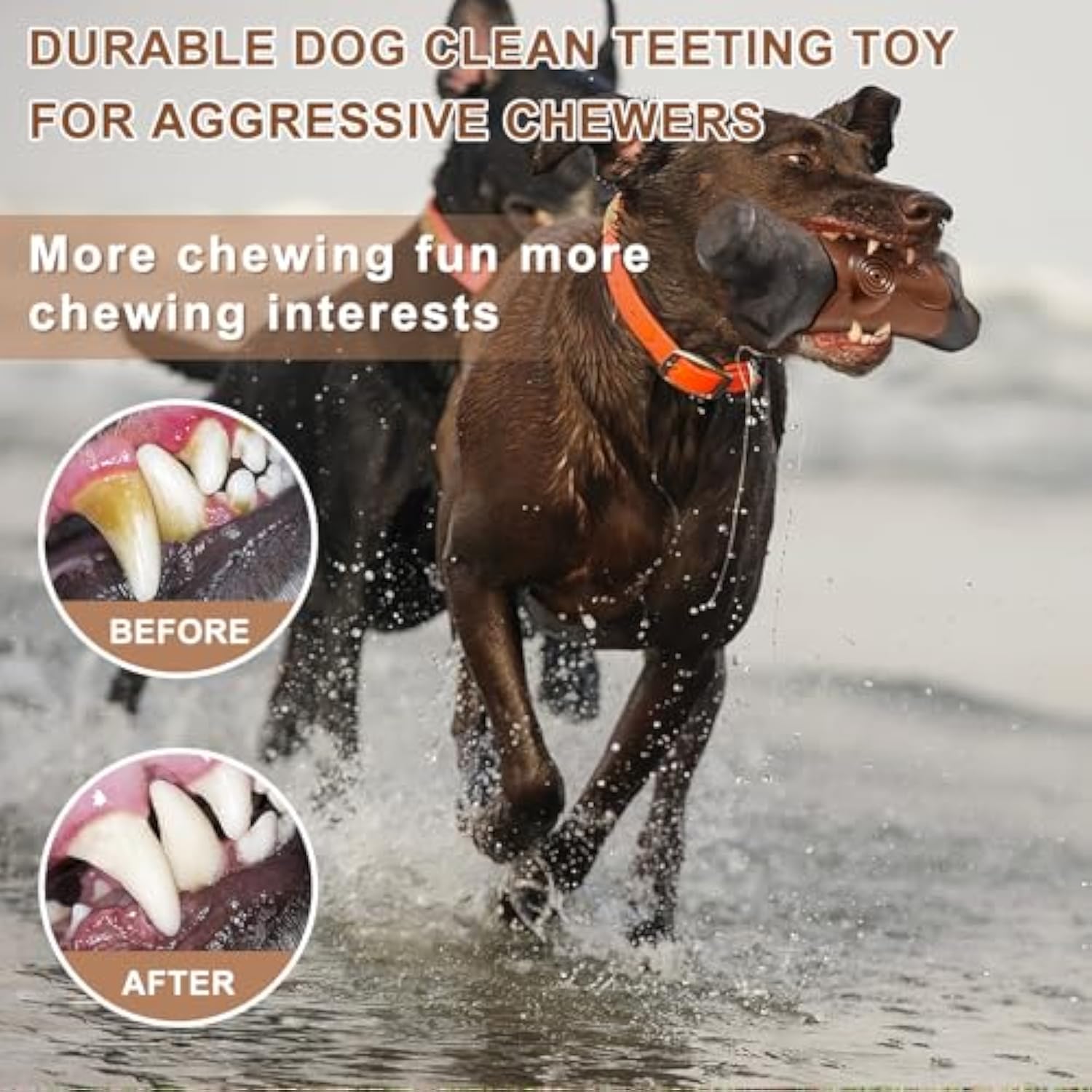 Indestructible Bacon Bliss for Large Aggressive Chewers