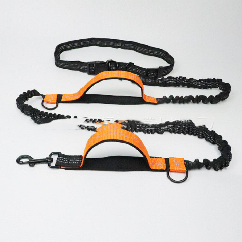 Fun Multifunctional Leash for Happy Pet Adventures