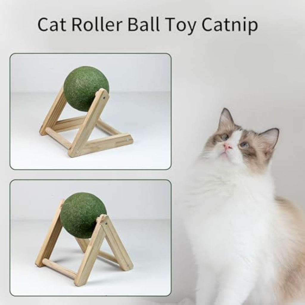 Irresistible Giant Catnip Ball Toy with Handy Holder