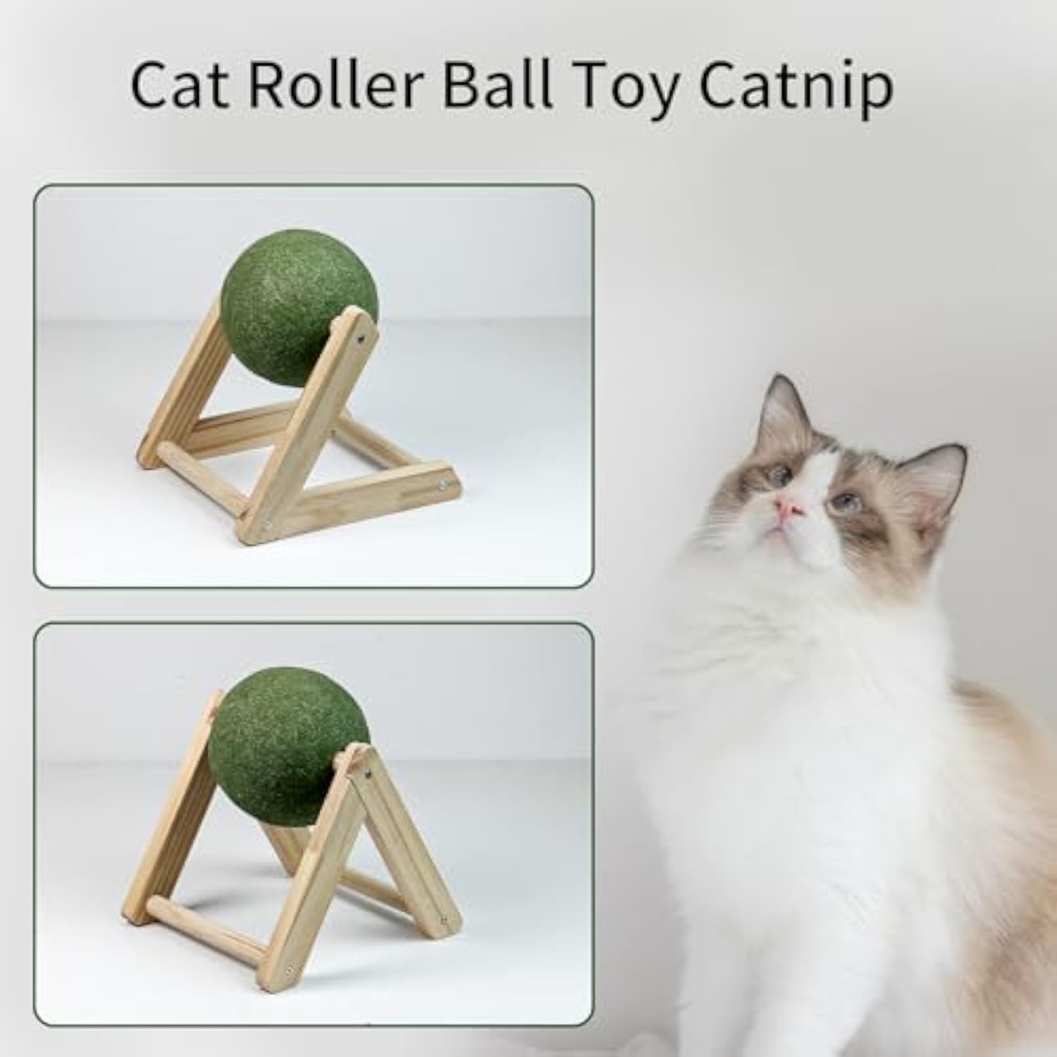 Irresistible Giant Catnip Ball Toy with Handy Holder